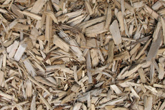 biomass boilers Rachub